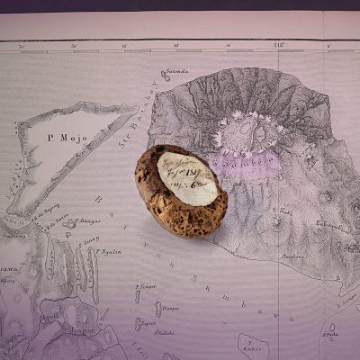 Brot aus dem Hungerjahr 1817 und Karte mit Vulkan Tambora (Quelle: Heimatmuseum Treuchtlingen)