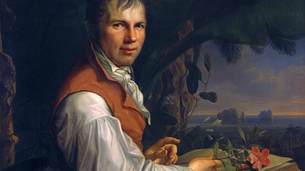 Alexander von Humboldt [Ausschnitt], Gemälde von Friedrich Georg Weitsch (Quelle: Alte Nationalgalerie) 