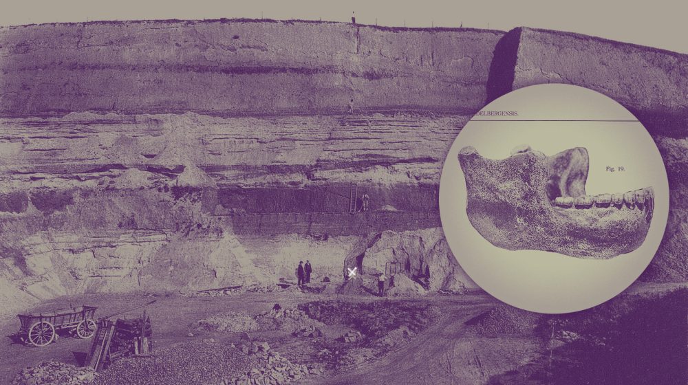 Fundstelle (markiert mit Kreuz) und Fossil (Quelle: Fotograf: Otto Schoetensack, Niedersächsische Staats- und Universitätsbibliothek Göttingen)