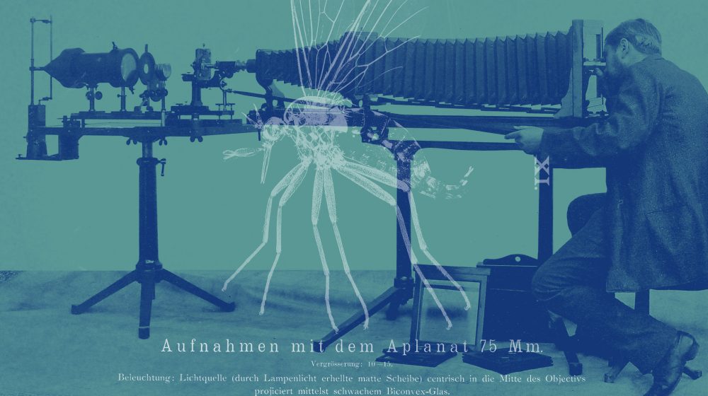 Mikrophotographischer Apparat von Zeiss 1888, Insekten-Mikroskopie (Quelle: Wellcome Library)