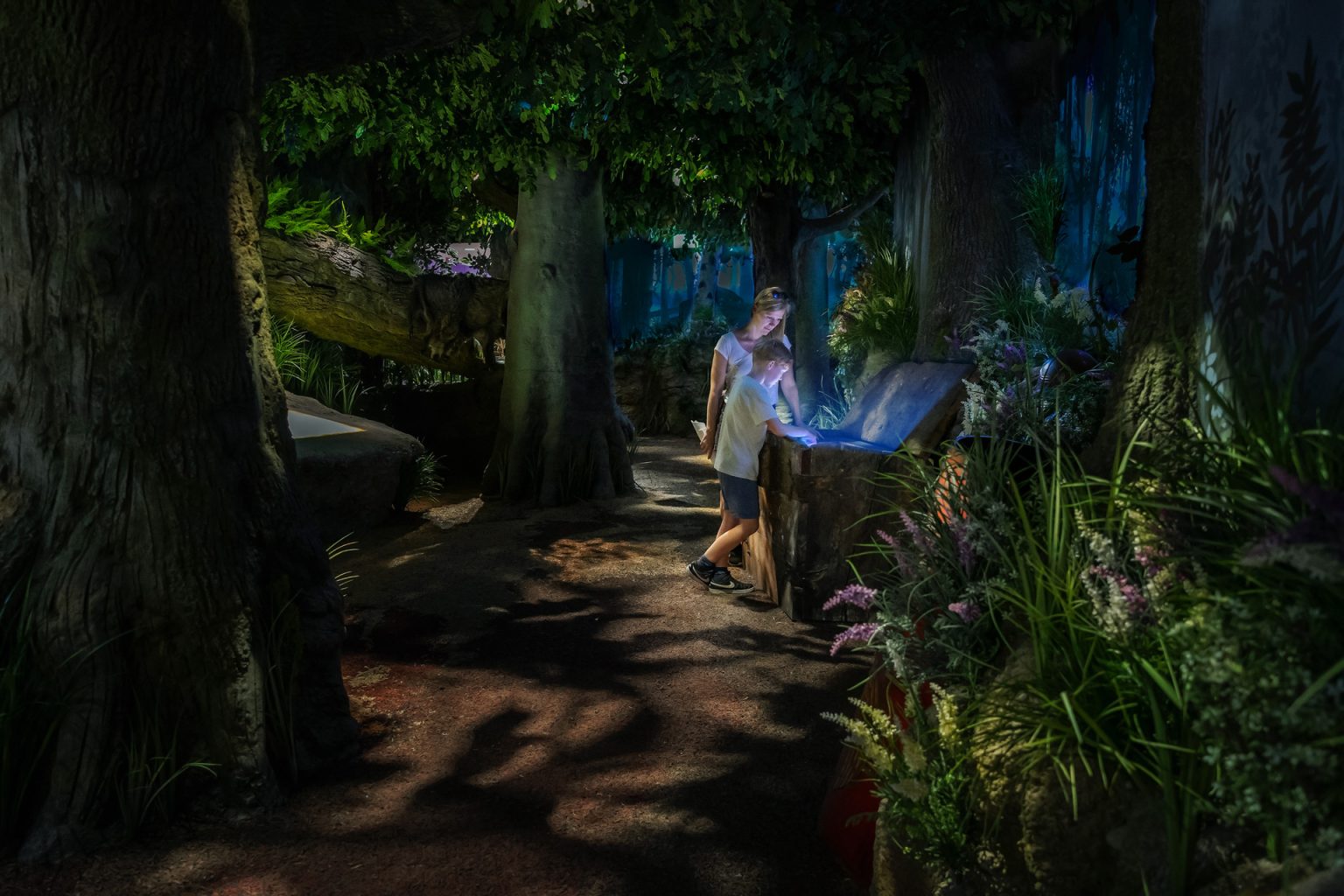 The Germanic Peoples: Forest in the Museum